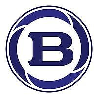 Braun logo