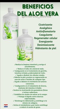 Productos Aloe Vera image2
