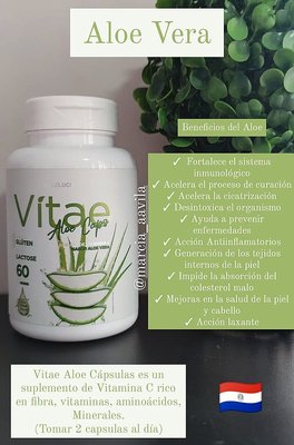 Productos Aloe Vera logo