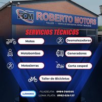 Servicio Técnico para Moto, Desmalezadora, Motobomba, Generador, Motosierra, Corta cesped, Bicicleta image1