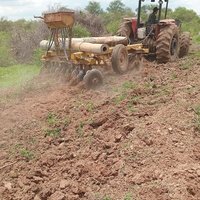 Desarollo y mantenimiento de pasturas en el Chaco image1