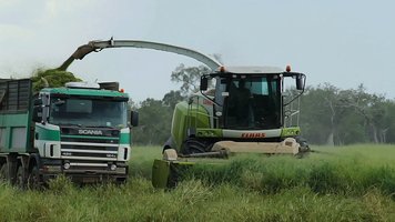 Servicios de Silage y Silo Bolsa image2